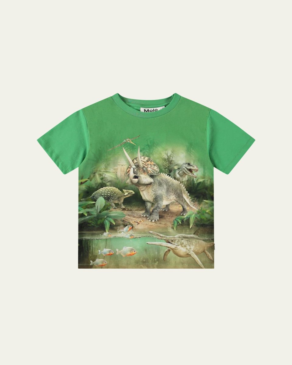 Boy's Riley Dinosaur Graphic T-Shirt, Size 3-7